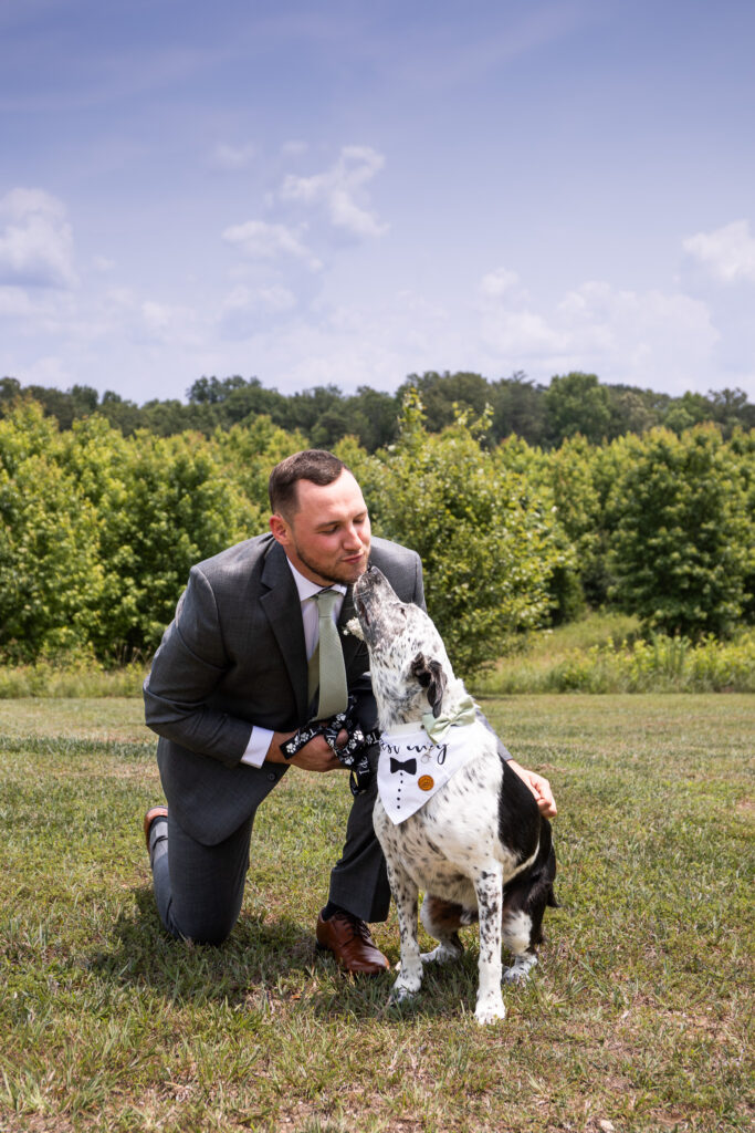 A groom kneels in a grassy field as his black-and-white dog, dressed in a white "dog of honor" bandana and bow tie, reaches up to lick his face. The candid moment captures the playful personality of a dog ring bearer against a backdrop of rolling green trees and a bright summer sky.