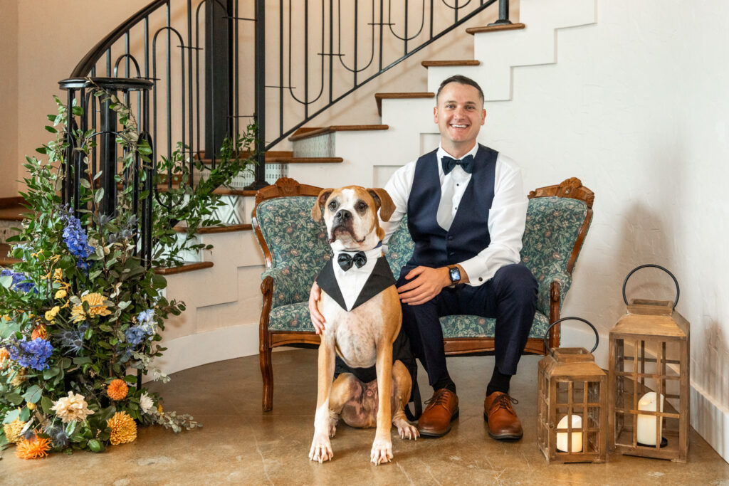A groom seated in an elegant foyer poses beside a large boxer dog wearing a tuxedo-style bandana. The dog ring berarer sits proudly in front of a vintage loveseat surrounded by floral arrangements and lanterns, creating a formal portrait that highlights the role of a dog ring bearer.