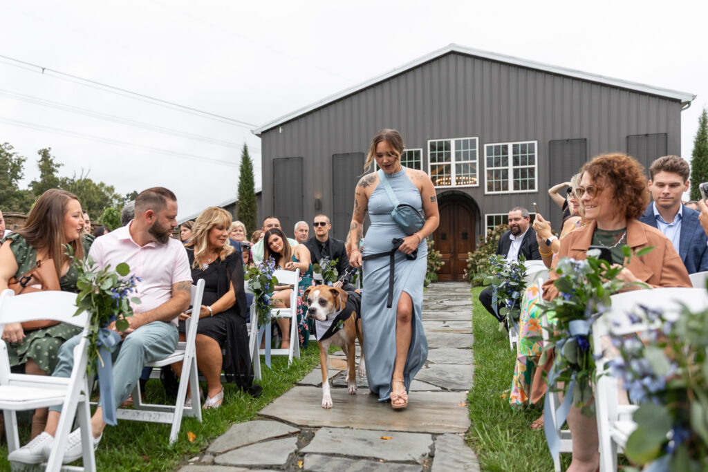 A dog ring bearer walks down the ceremony aisle alongside a member of the wedding party at an outdoor wedding. Guests smile and watch as the dog makes its way between rows of chairs decorated with blue and white floral arrangements.