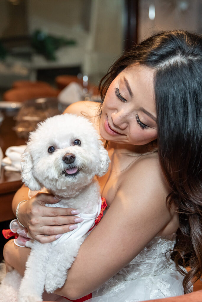 A bride cuddles her fluffy white dog ring bearer while getting ready for her wedding day. The dog wears a festive red outfit and looks toward the camera as soft window light highlights the affectionate interaction between pet and owner.