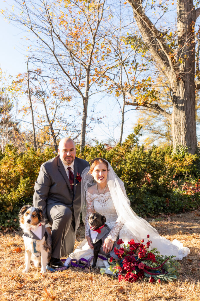 A bride and groom kneel beside their two dogs dressed in tuxedo-style wedding attire during fall portraits. Surrounded by autumn foliage and vibrant red florals, the dogs sit proudly as part of the wedding party.
