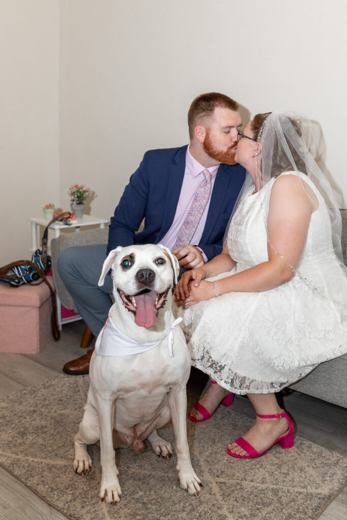Newly married couple shares a kiss while seated together with their smiling white dog in the foreground after their courthouse wedding ceremony.
