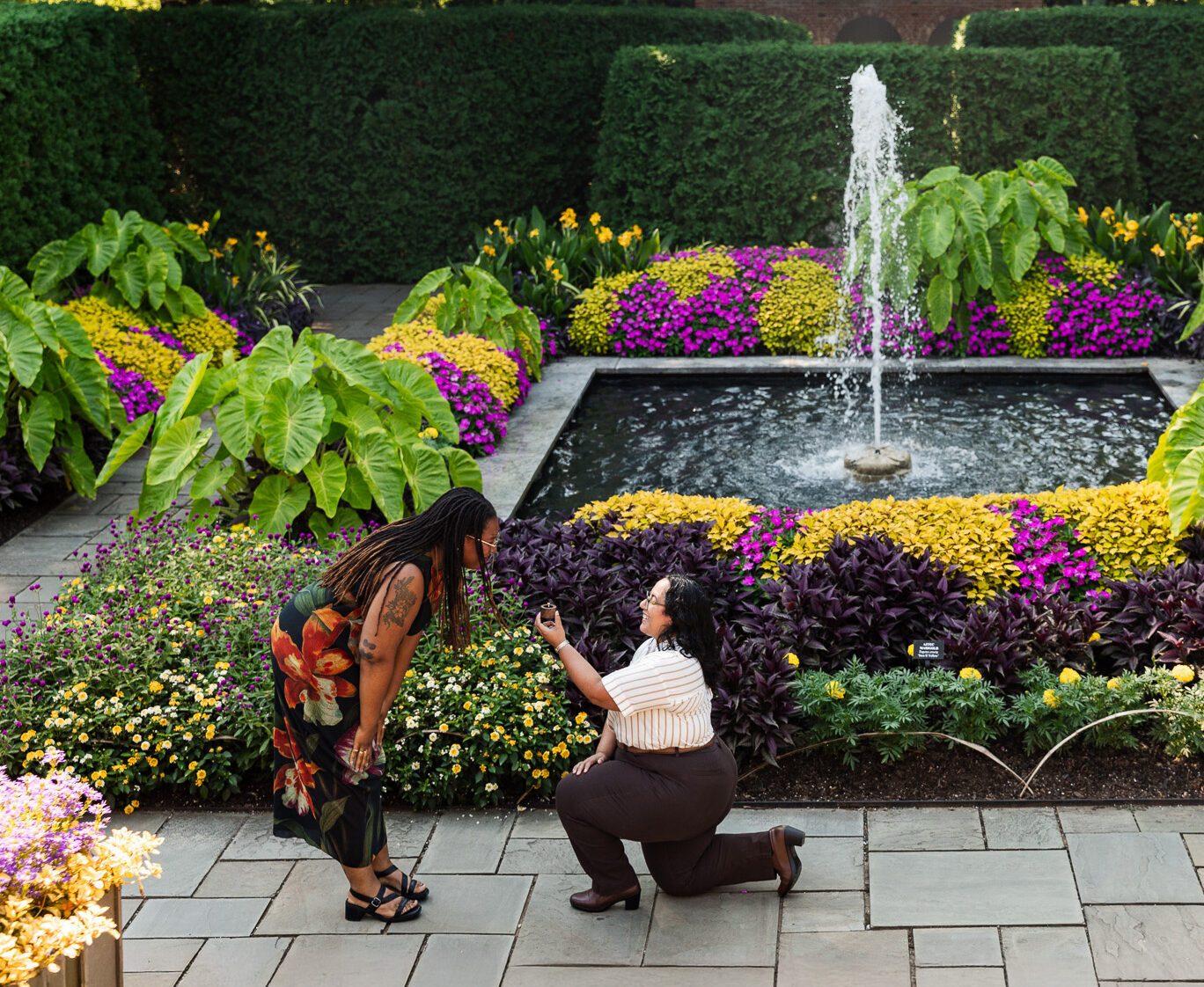 Wide view of a Longwood Gardens lesbian proposal in the colorful Compartment Gardens, with one partner down on one knee beside dense flower beds and a central fountain framed by tall hedges and mature trees.
