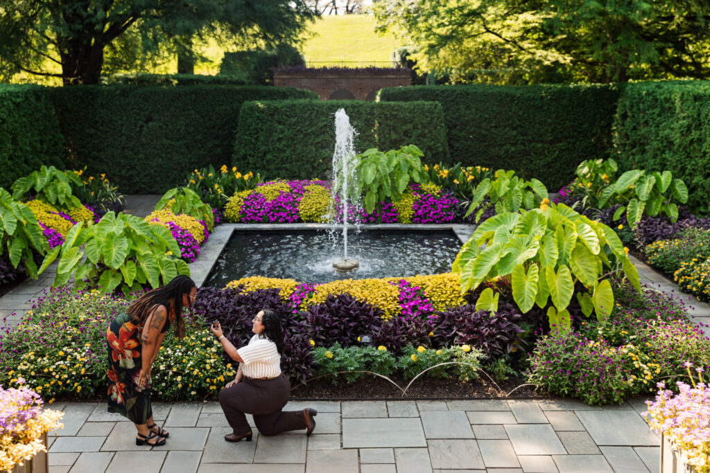 Wide view of a Longwood Gardens lesbian proposal in the colorful Compartment Gardens, with one partner down on one knee beside dense flower beds and a central fountain framed by tall hedges and mature trees.